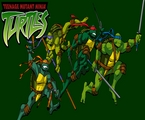 Teenage Mutant Ninja Turtles Flash